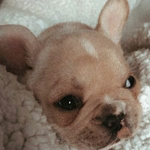 Meet your Posher, Caden